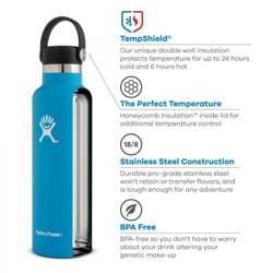 HYDRO FLASK 24 Oz Standard Mouth Flex Cap Stone