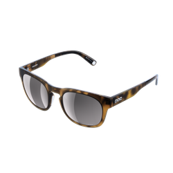 Sonnenbrille POC Require Tortoise Brown/Clarity Road/Sunny Silver