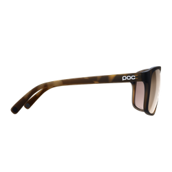 Sonnenbrille POC WILL Tortoise Brown - 2024/25