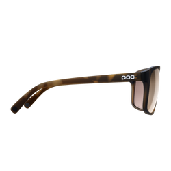 Sonnenbrille POC Will Tortoise Brown/Clarity Trail/Partly Sunny Silver